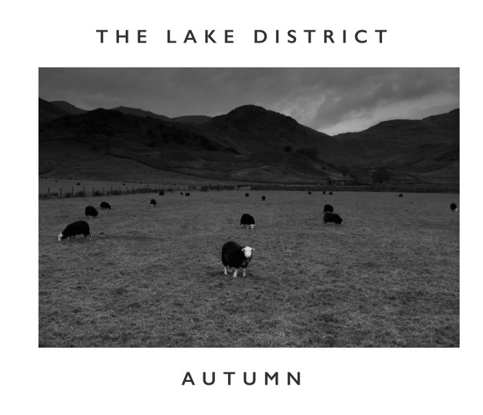 View The Lake District - Autumn by Trevor Smeaton