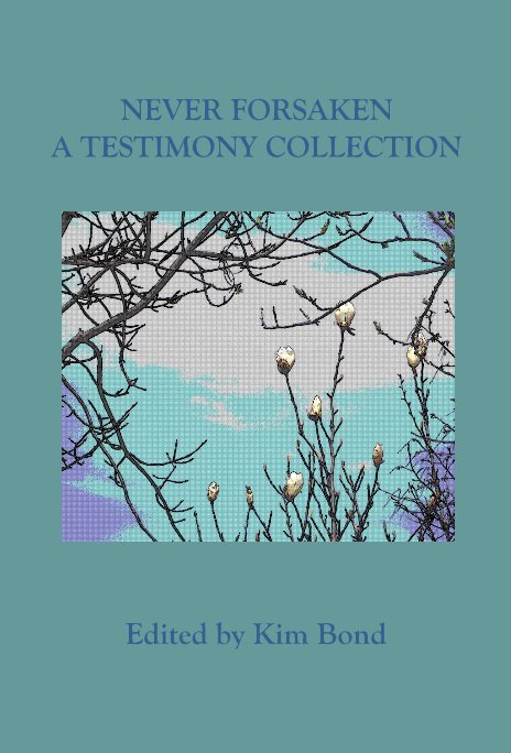 View NEVER FORSAKEN A TESTIMONY COLLECTION by Edited by Kim Bond