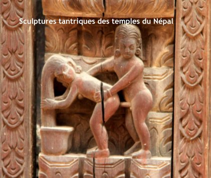 Sculptures tantriques des temples du Népal book cover