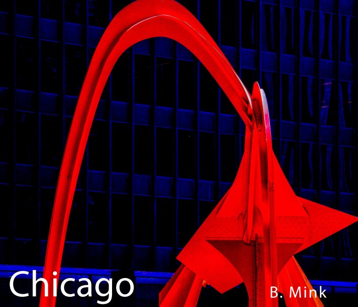 View Chicago by Barry Mink MD