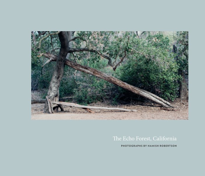 Visualizza The Echo Forest, California di Hamish Robertson