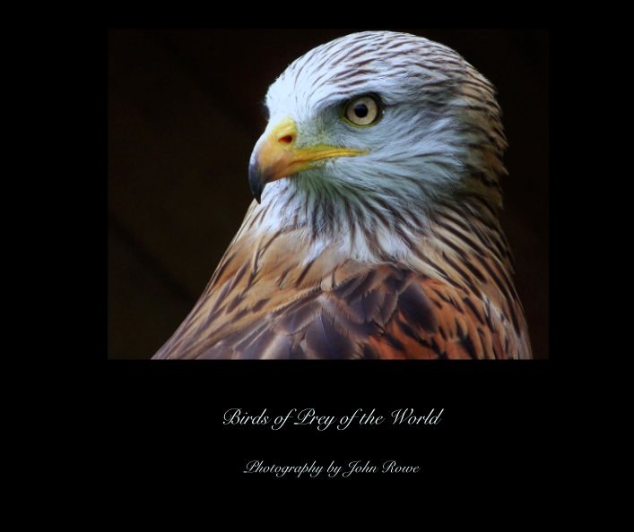 View Birds of Prey of the World by Photography by John Rowe