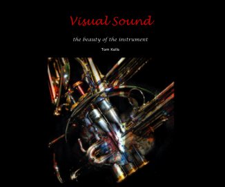 Visual Sound book cover