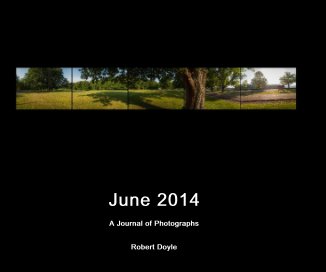 June 2014 book cover