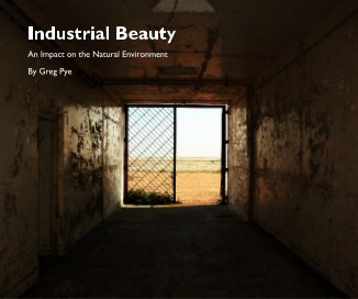 Industrial Beauty book cover