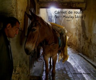 Carnet de route Fez - Moulay Idriss Etape 1 book cover