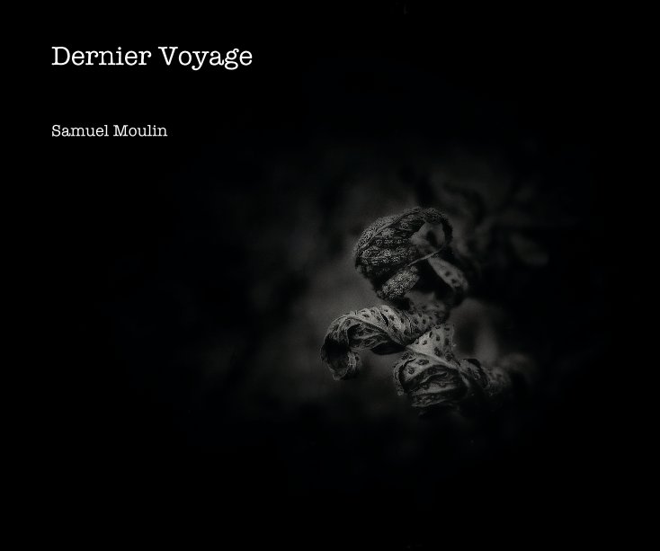 View Dernier Voyage by Samuel Moulin