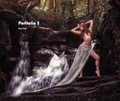 Portfolio 5 book cover