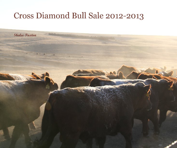 Bekijk Cross Diamond Bull Sale 2012-2013 op Shalee Paxton