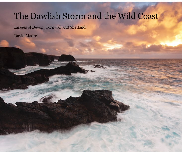 View The Dawlish Storm and the Wild Coast by David Moore