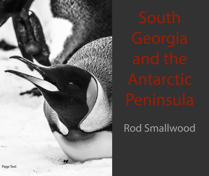 View South Georgia and the Antarctic Peninsula by Rod Smallwood