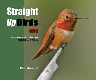 Straight Up Birds one book cover