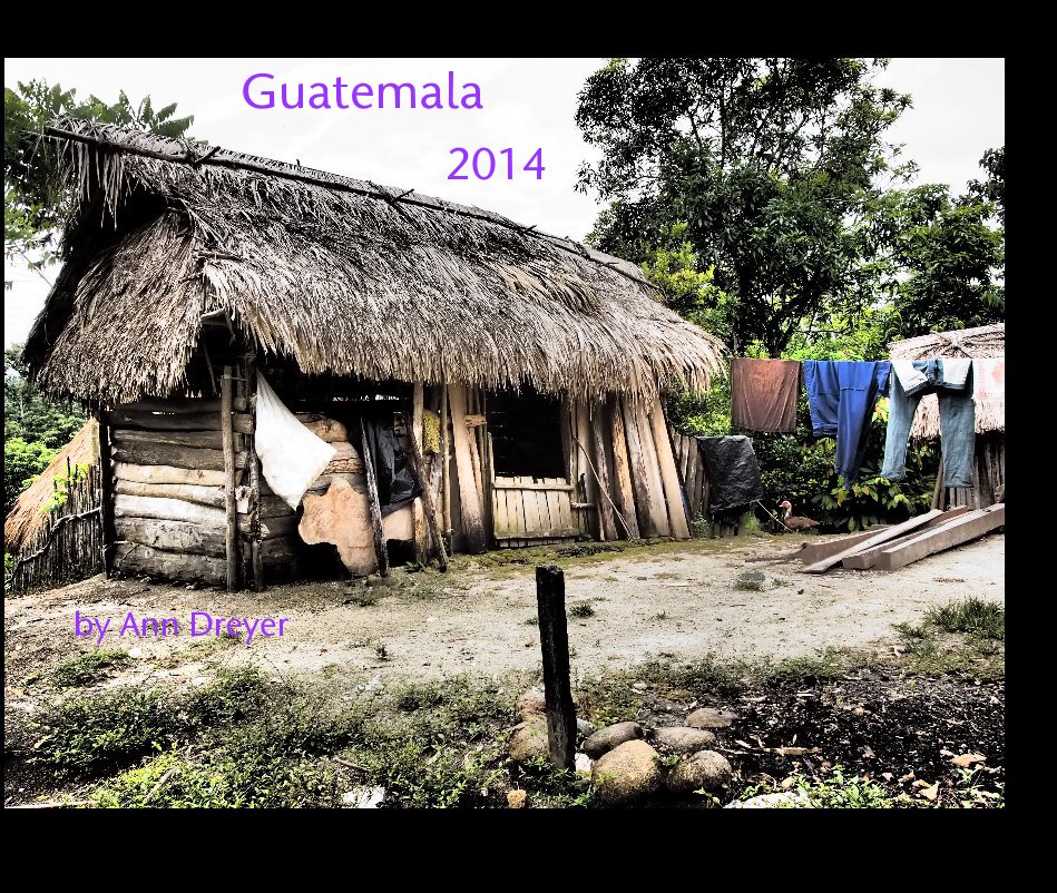 View Guatemala by Ann Dreyer