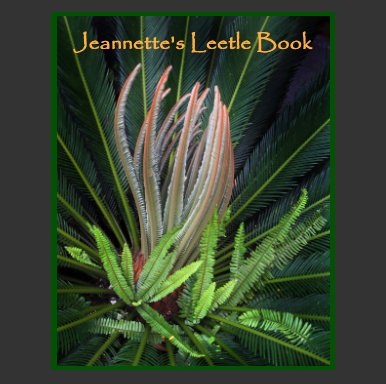 Costa Rica for Jeannette book cover