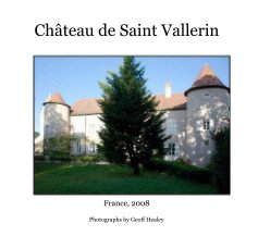 Chateau de Saint Vallerin book cover