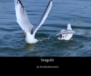 Seagulls book cover