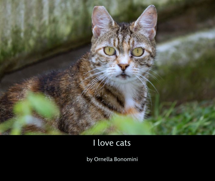 View I love cats by Ornella Bonomini