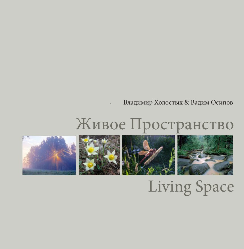 Visualizza Living space di vladimir kholostykh
