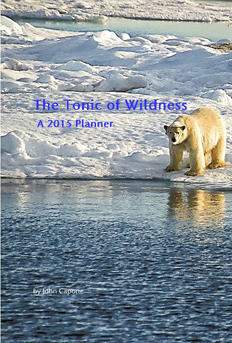 View The Tonic of Wildness A 2015 Planner by John Capone