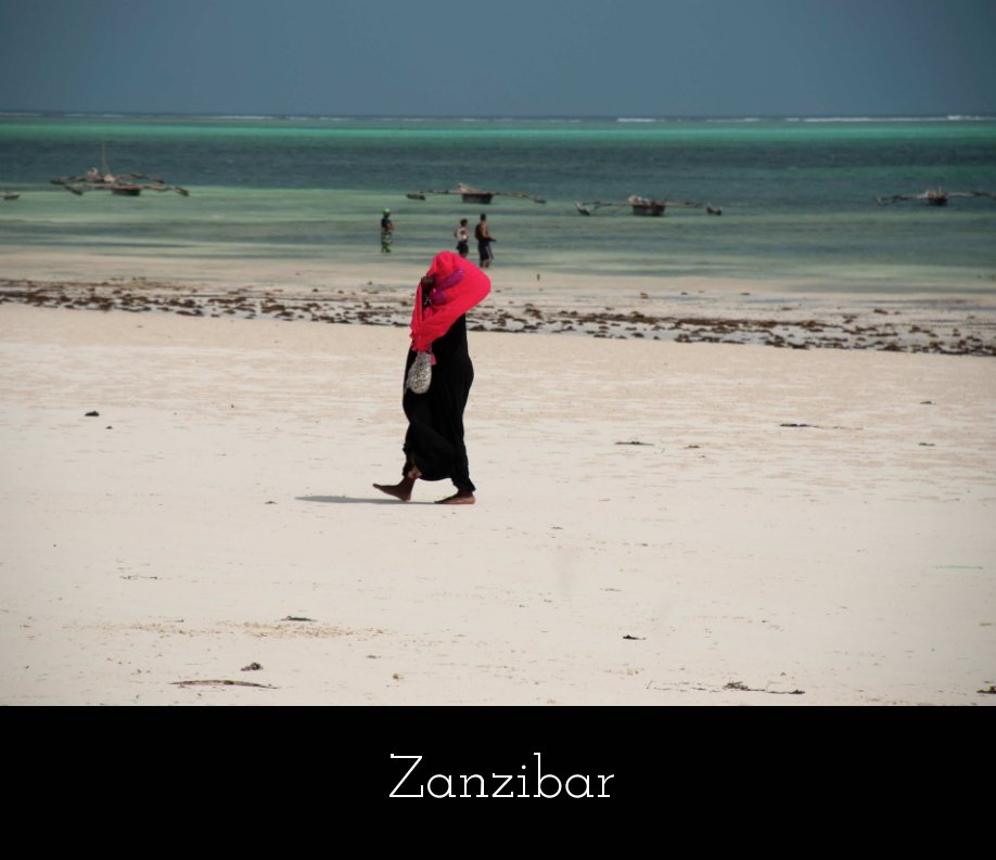 View Zanzibar by Filippo Brini, Chiara Ceccarelli