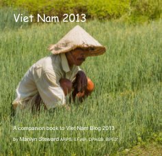 Viet Nam 2013 book cover