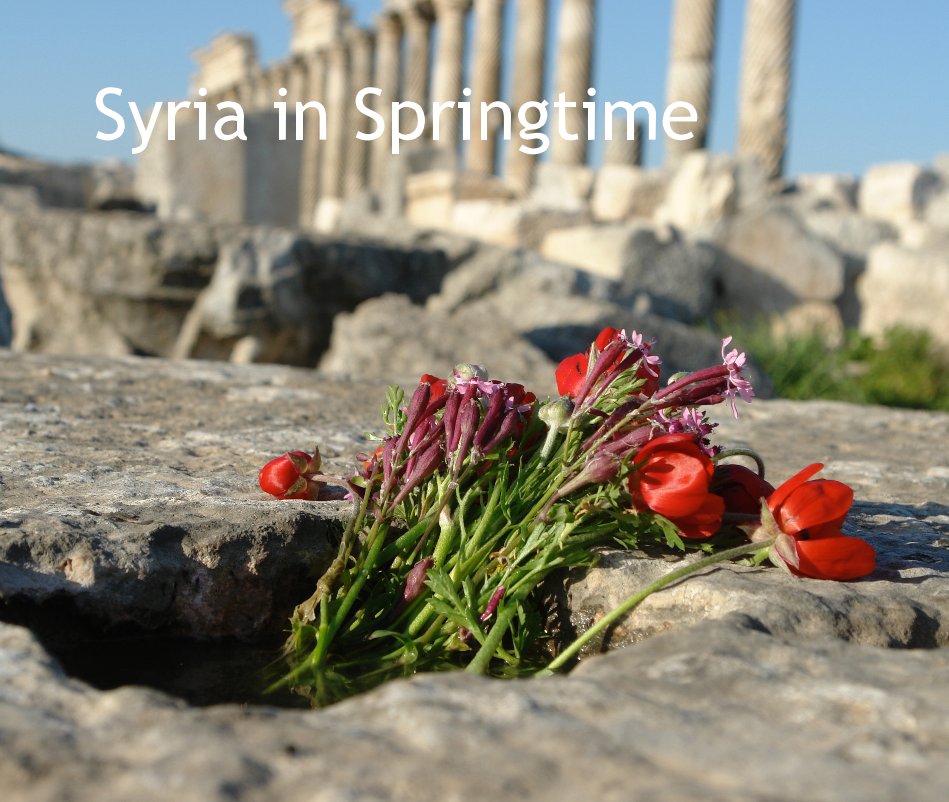 View Syria in Springtime by Charles Roffey