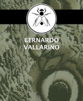 BERNARDO VALLARINO book cover