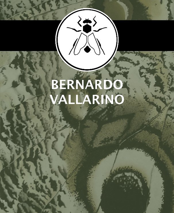 View BERNARDO VALLARINO by Bernardo Vallarino