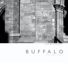 Buffalo (Soft Cover) book cover