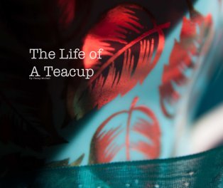 The Life of a Teacup book cover