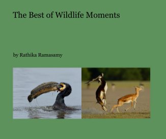 The Best of Wildlife Moments book cover