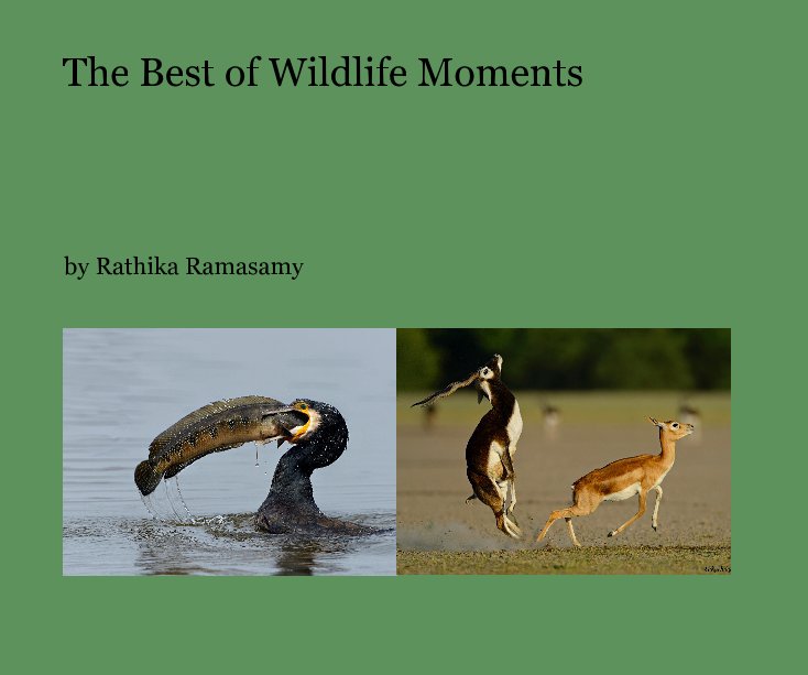 View The Best of Wildlife Moments by Rathika Ramasamy