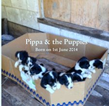 Pippa & the Puppies book cover