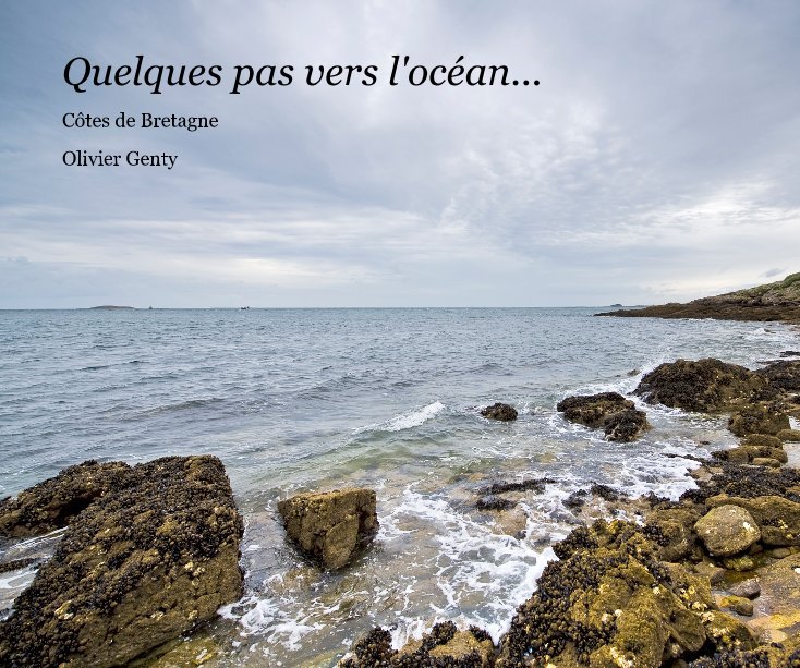 View Quelques pas vers l'océan... by Olivier Genty