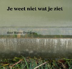 Je weet niet wat je ziet book cover