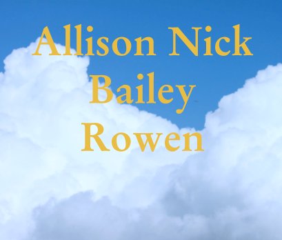 Allison Nick Bailey Rowen book cover