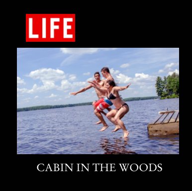 Cabin In The Woods book cover