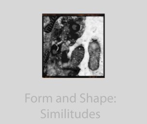 Form and Shape: Similitudes book cover