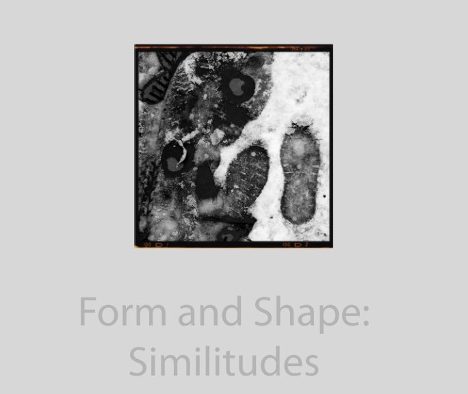 Visualizza Form and Shape: Similitudes di Ernesto De Quesada