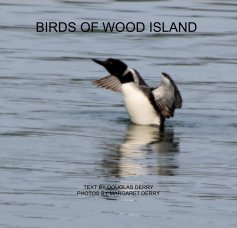 BIRDS OF WOOD ISLAND book cover