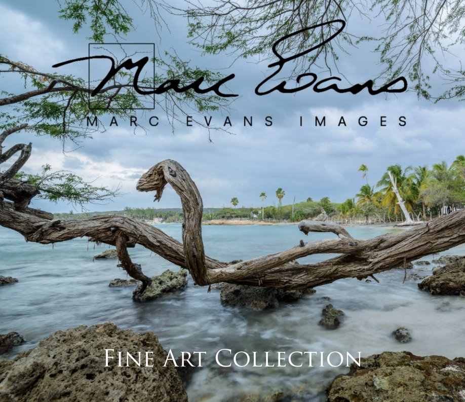 View Fine Art Collection by Marc Evans