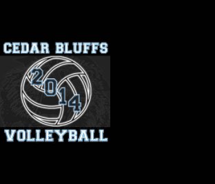 2014 Cedar Bluffs Volleyball book cover