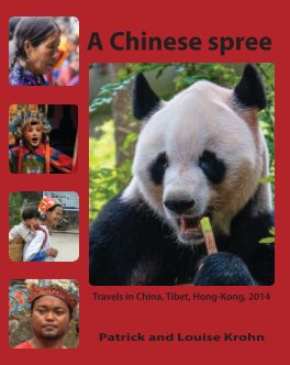 A Chinese spree book cover