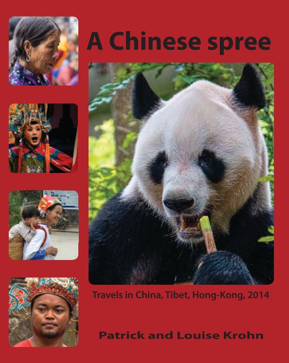 View A Chinese spree by Patrick and Louise Krohn