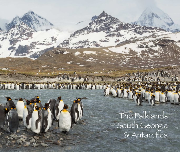Ver The Falklands, South Georgia & Antarctica por David Vaney