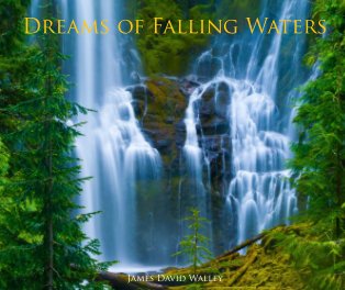 Dreams of Falling Waters (Hardcover) book cover