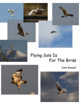 Flying Solo Is For The Birds book cover