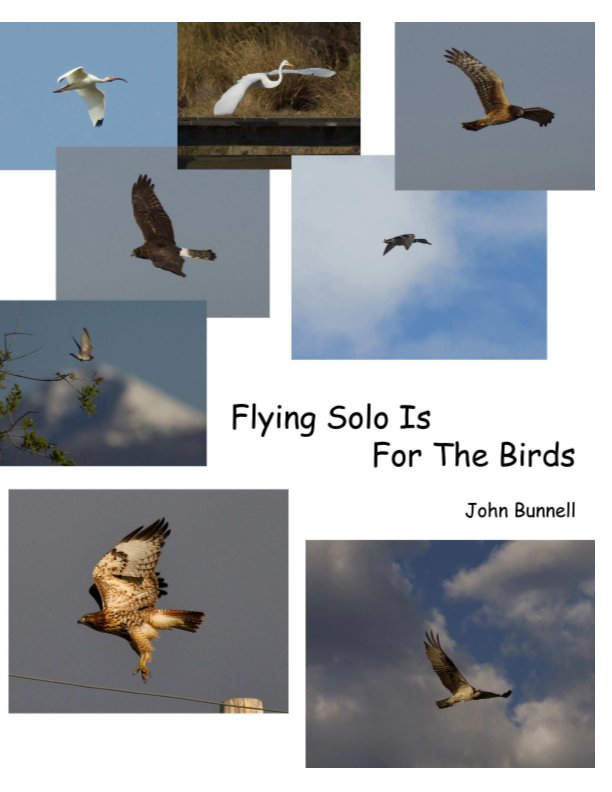 Ver Flying Solo Is For The Birds por John Bunnell