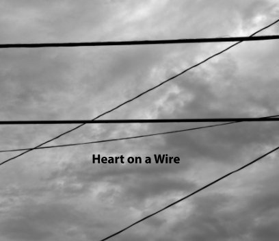Heart on a Wire book cover