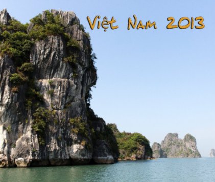 Vietnam 2013 Deel 5 book cover